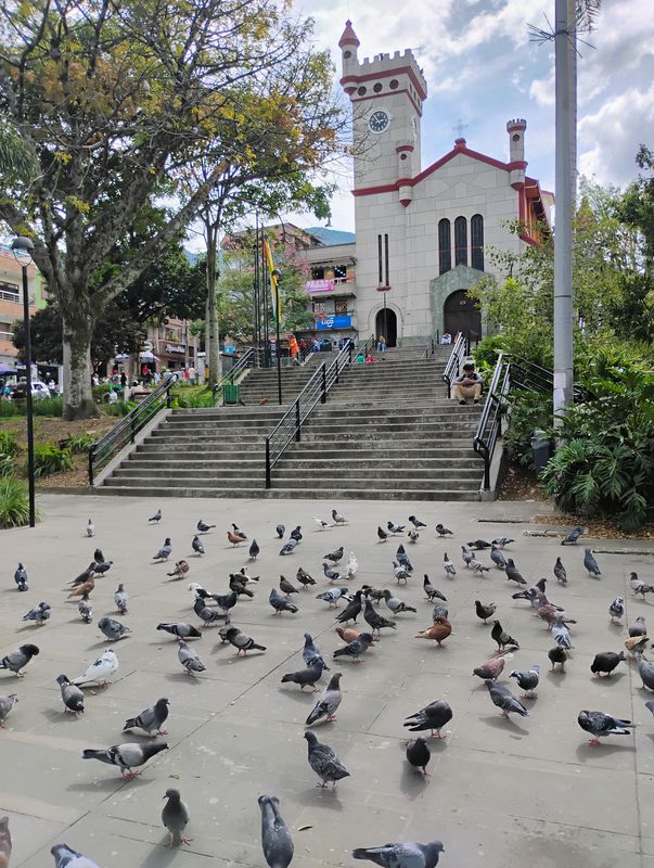 Palomas en el atrio frente a las escalinatas del templo.